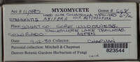 Image Associated With the Occurence